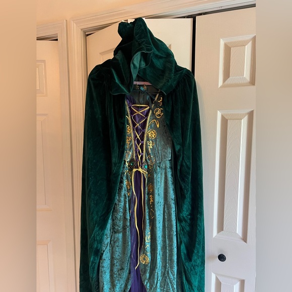 Winifred Sanderson Hocus Pocus Halloween Costume Adult Medium - Picture 10 of 16